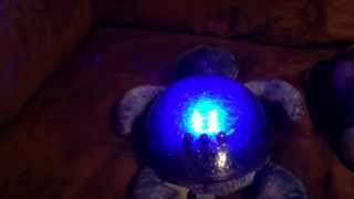 Cloud B Twilight Turtle & Tranquil Turtle Comparison