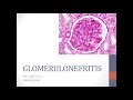 Glomerulonefritis / ENARM