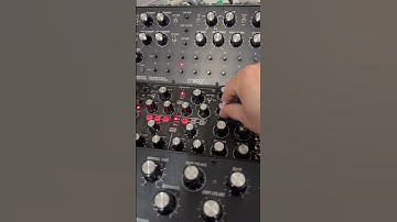 Jamming on the Moog DFAM and Sub Harmonicon #semimodular #synthjam #electronicmusic