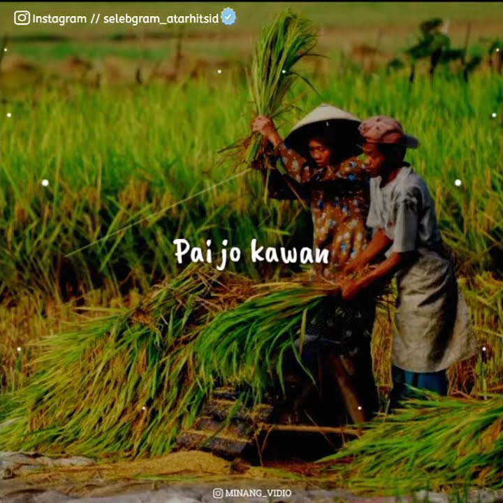 #lagu Minang  quotes literasi 30 detik