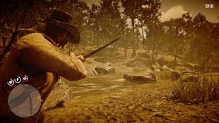 RDR 2: How to complete Survivalist Challenge 7 easily