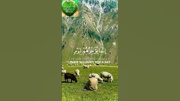 سورة إبراهيم|الشيخ نايف فيصل#القرانالكريم #سبحان_آلله #لا_اله_الا_الله_محمد_رسول_الله  #سورة_ابراهيم