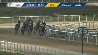 Vidéo de la course PMU PREMIO CORCOVADO