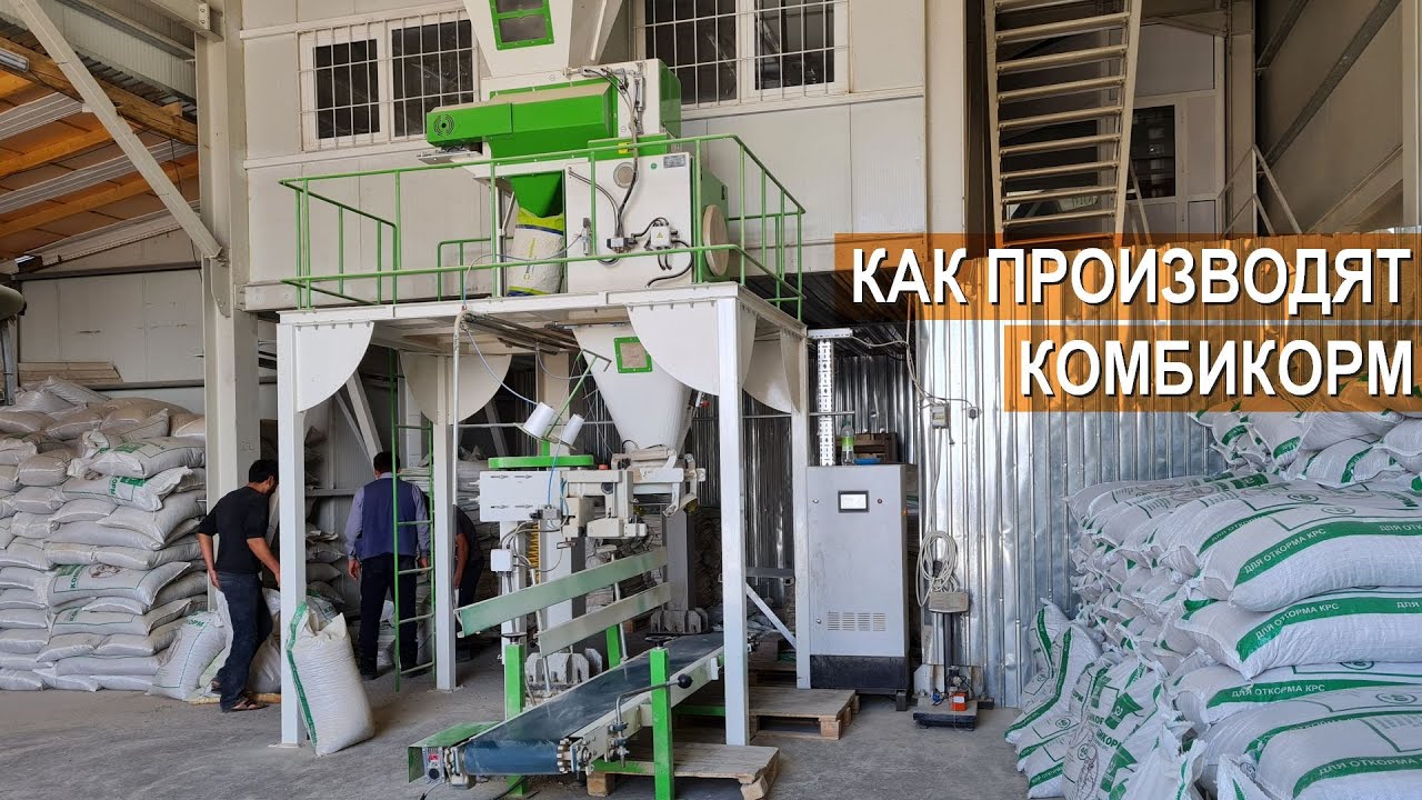 Как производят комбикорм? Как устроен комбикормовый завод? Республика Казахстан.