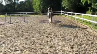 Roh kaart 045