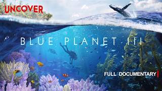 BLUE PLANET III | Many Worlds, One Living Ocean | FULL DOCUMENTARY