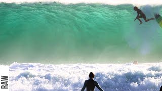 SNAPPER MADNESS