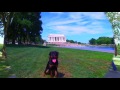 8-Month Old Rottweiler, Rocko! Rottweiler Dog Trainers in Virginia, DC, and Maryland 8-Month Old Rottweiler, Rocko! Rottweiler Dog Trainers in Virginia, DC, and Maryland