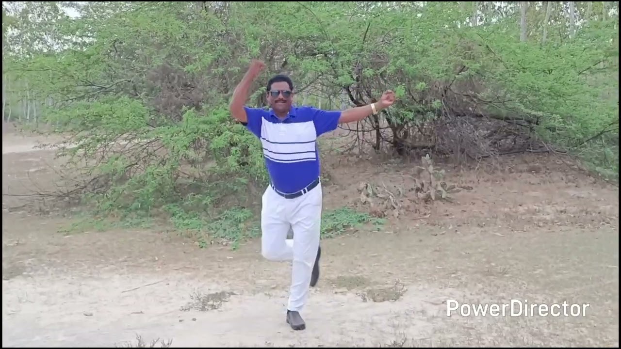 State rowdy movie song