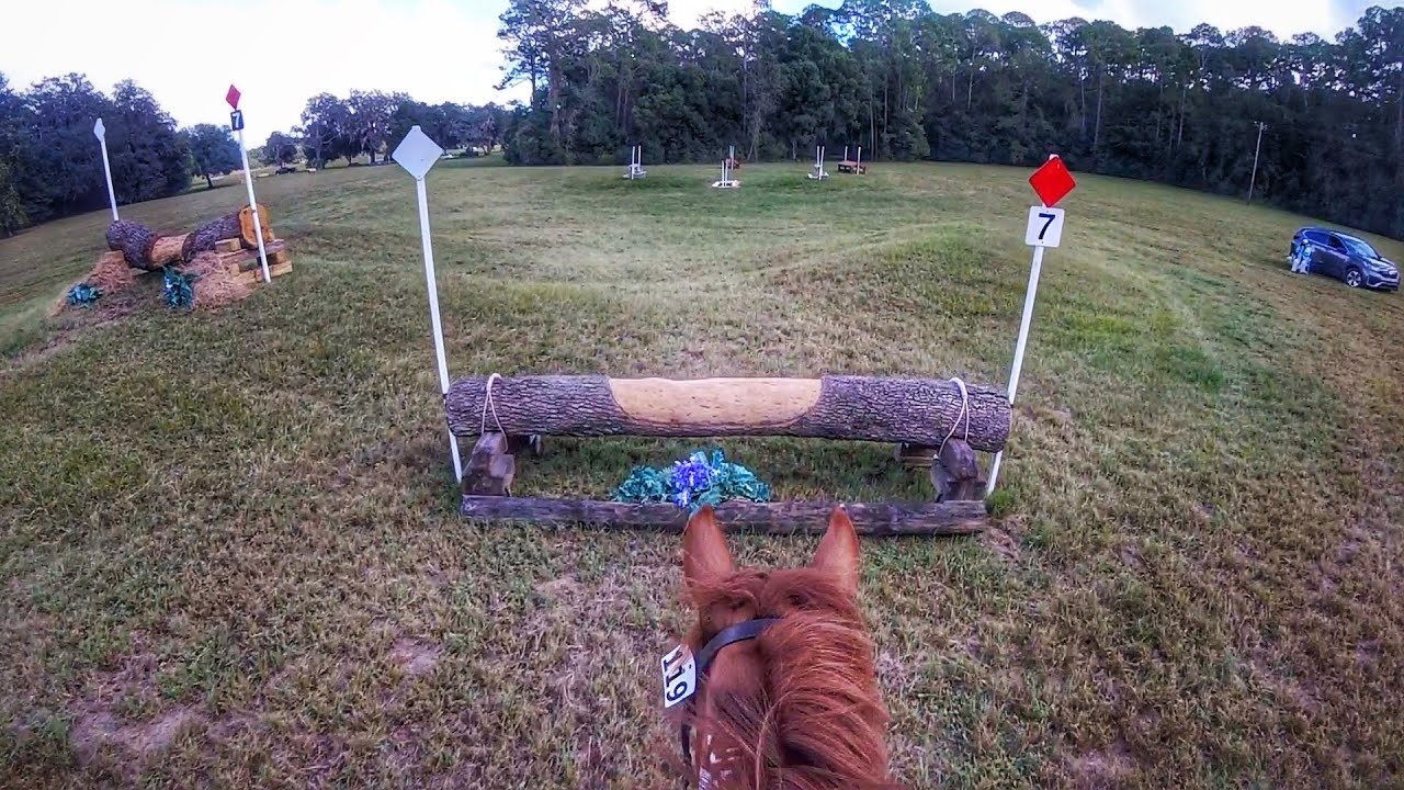GoPro: Wyeth (Open Novice | 2022 Rocking Horse Fall HT)