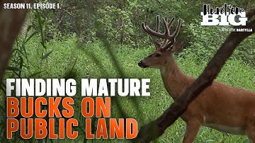 Find Mature Bucks on Public Ground