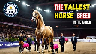 Top 10 smallest to tallest Horse breeds in the world | The Sampson Horse | zoom in out