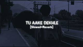 Tu Aake Dekhle | Slowed + Reverb