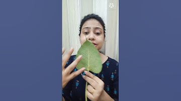Parallel Venation Vs Reticulate Venation |Morphology of Leaf | Class 11 Biology/NEET/AIIMS | #shorts