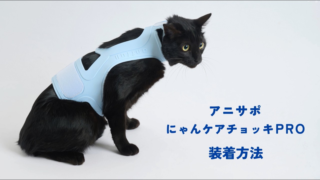 アニサポ にゃんケアチョッキPro – anifull