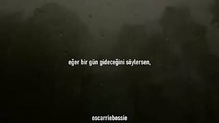 Shawn Mendes - Itll Be Ok Türkçe Çeviri