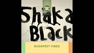 Shaka Black- Life is a struggle (acoustic version)