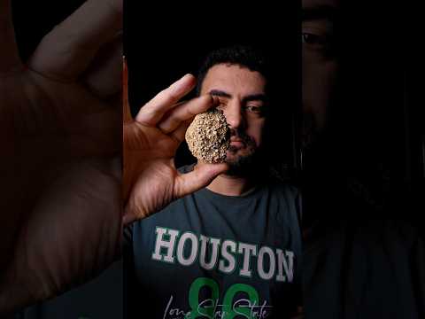 مواصفات افضل نوع رمل كربون ممكن تستخدمه للقطة بتاعتك سوكا طبيب بيطري قطط قطط شيرازي قطط سيامي