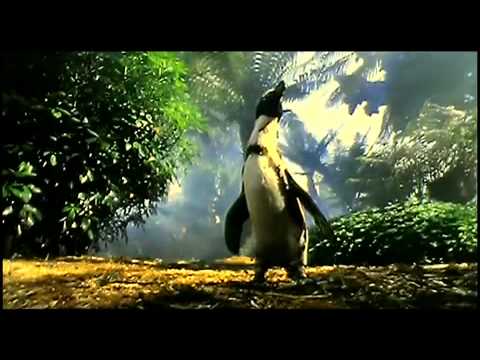 Dredg - Of the Room