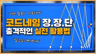 📢코드네임 장장단↗충격적인 실전 활용법! (feat.하프시스템)