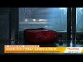 Suspected arson attack at Cecil Hills business | 7NEWS