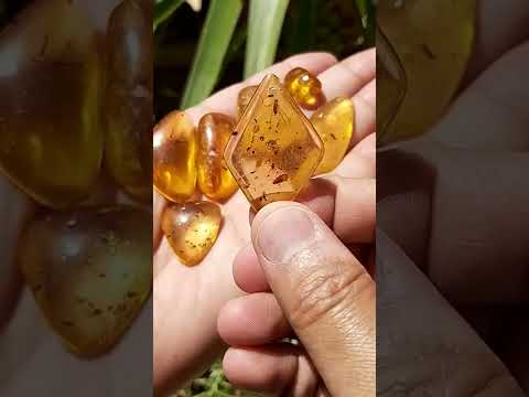 عنبر قديم عنبر احجار كريمة اكسبلور ترند فيديوهات قصيرة Shorts