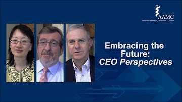 Teaching Hospital CEOs on Managing Change