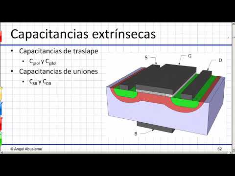 Vídeo: Todos Morirán, Pero él Permanecerá: Lo Terrible Del 