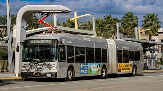 (LACMTA Metro Bus) 2020 New Flyer Xcelsior XE60 #19535