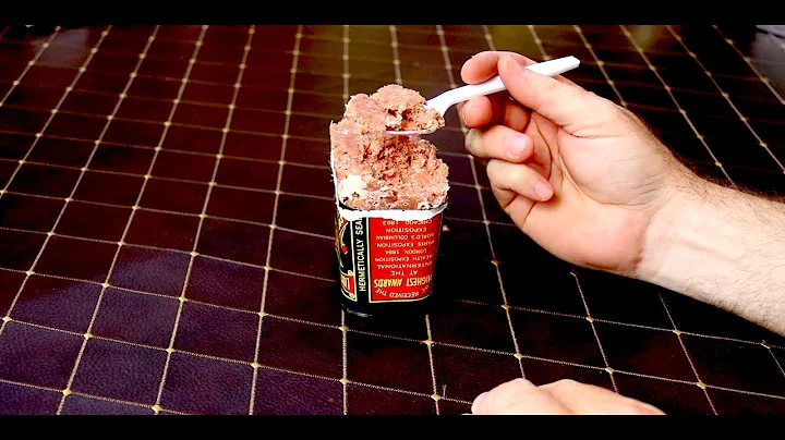 MRE REVIEW Eating 151 Year Old Pre WW1 Corned Beef From 1870 ???
