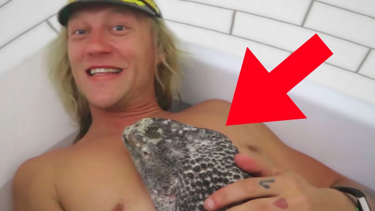 vlogs in spanish LIZARD IN BATHTUB! w/ THE DUDESONS/ROCCOPIAZZAVLOGS | BRIAN BARCZYK