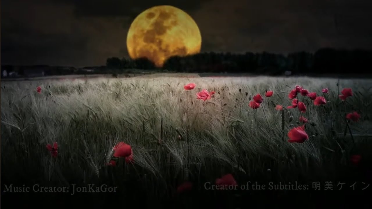 Victim identification (canceled song ) JonKagor/YonKagor