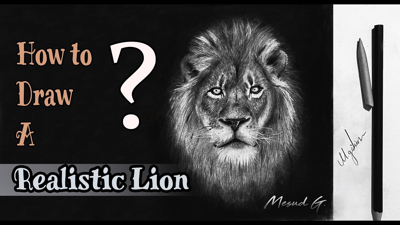Lion Tutorial How to Draw a Realistic Lion, Tutorial ,(Gercekci Aslan Çizimi Eğitici ...