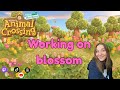 🌷 Animal Crossing Cozy Stream! 🌷
