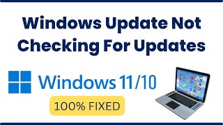 Windows Update Not Checking For Updates On Windows 11 or 10 [Easiest & Quick Way Solution]