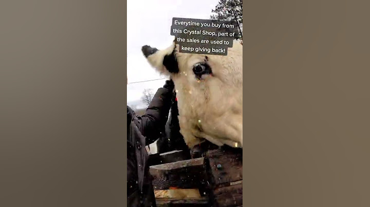Crystal Dreams reached its goal of raising 7,000$ for animal sanctuaries