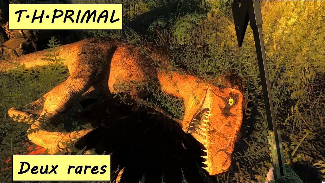 THE HUNTER PRIMAL Deux rares au bout du fusil HD 1080p FR