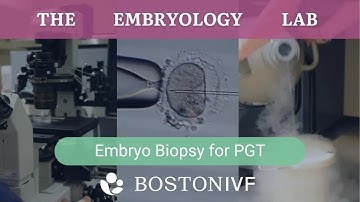 Embryo Biopsy for Preimplantation Genetic Testing (PGT) | Boston IVF Embryology Lab