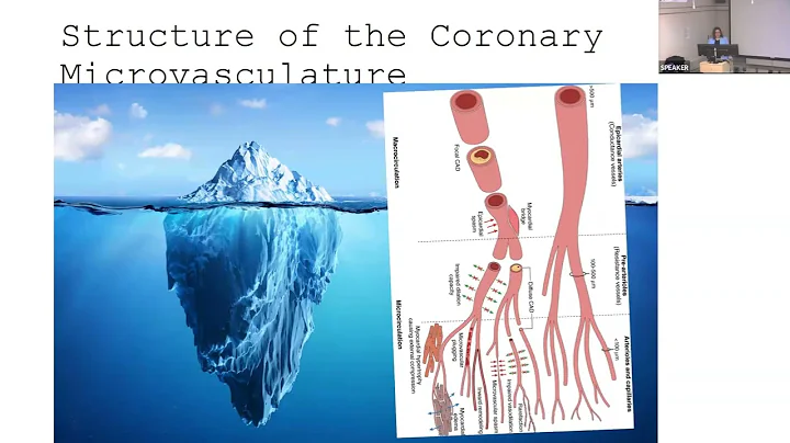 The Invisible Burden: Microvascular Disease, INOCA and the Evolution of Ischemic Heart Care