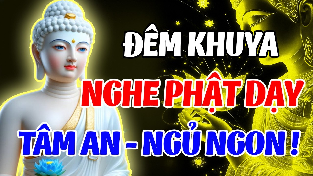 Đêm Khuya Nghe Lời Phật Dạy – 5 Phút Buông Bỏ Phiền Muộn, Tâm An Nhiên Ngủ Ngon