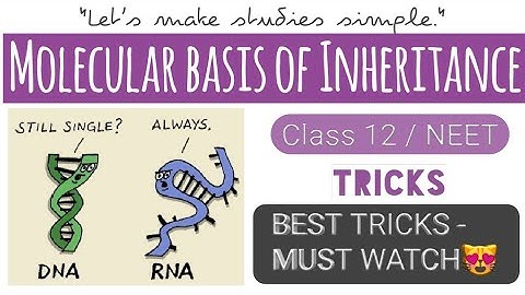 Molecular basis of Inheritance tricks || Class 12/ NEET / AIIMS || Biology