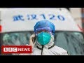 Coronavirus: Death toll rises to 81 as China extends holiday - BBC News