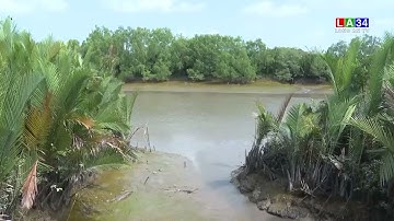 Cảnh báo mức độ rủi ro thiên tai do xâm nhập có khả năng ở cấp độ 3 | LONG AN TV