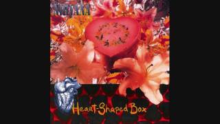 Vitamin String Quartet- Heart Shaped Box (Nirvana)