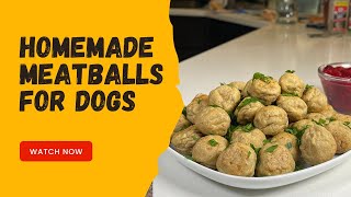 How to Make Homemade Meatballs for Dogs I Quick & Easy