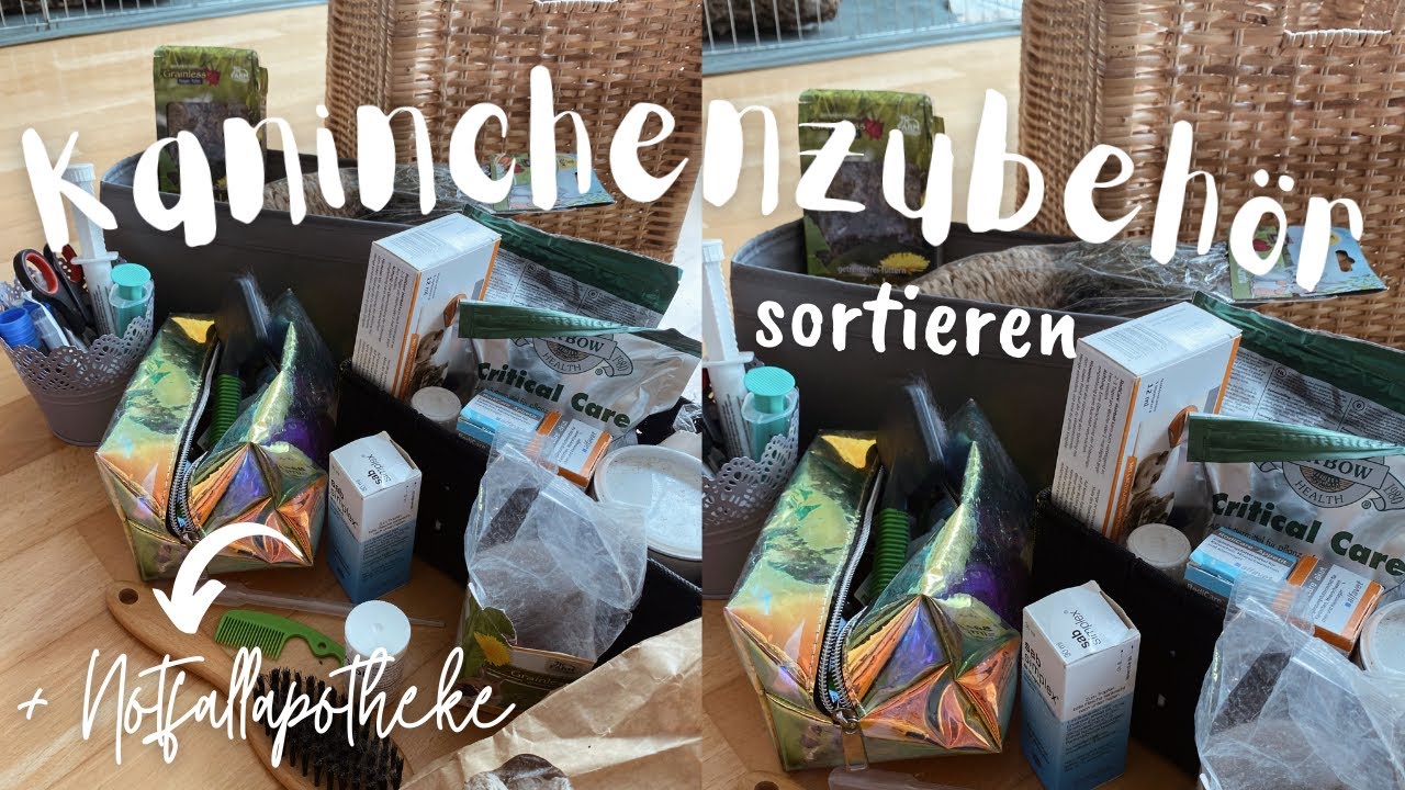 unser Kaninchenzubehör + Notfallapotheke organisieren, clean with me, productive vlog