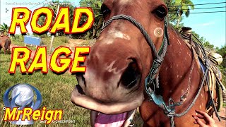 Far Cry 6 - Road Rage - Perform a Vehicle Machete Kill from a Horse