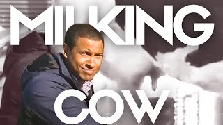 I Milk A Cow For The First Time 122316