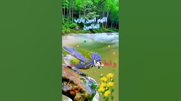 #اللهم آمين يارب العالمين #اذكار #دعاء #اكسبلور