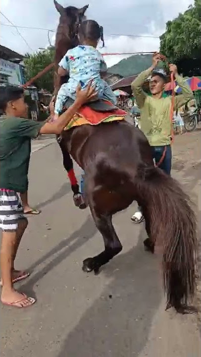 kuda jumping